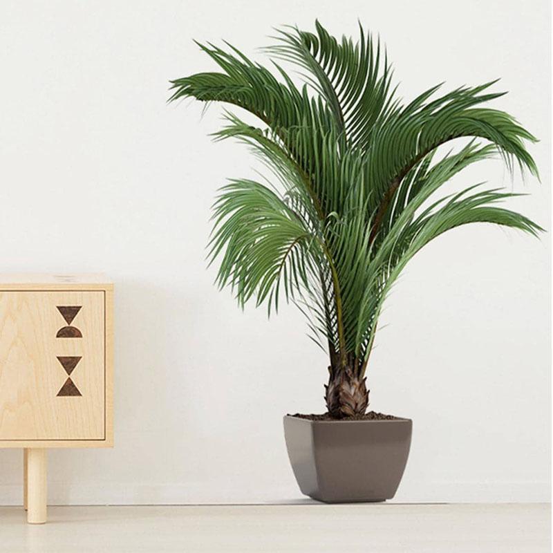 Artificial Potted Plant Wall Sticker, Fake Potted Plant Wall Decal, Decorative Sticker for Home Living Room Bedroom Study Room