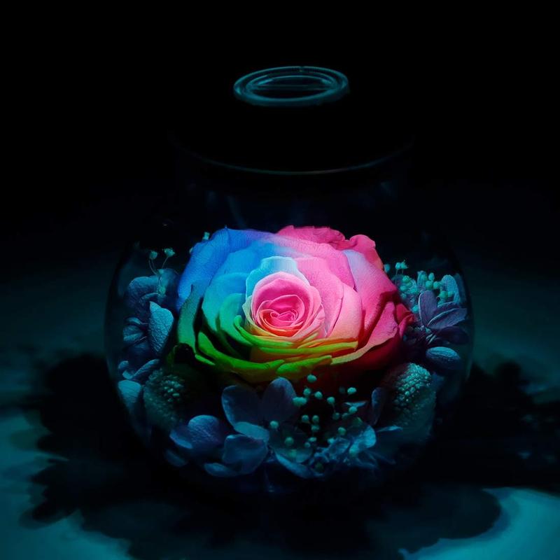 Preserved Real Roses with Colorful Mood Light Wishing Bottle,Eternal Rose,Never Withered ,for Bedroom Party Table Decor, Christmas Anniversary,Valentine's,Mother's Day, (Multi)