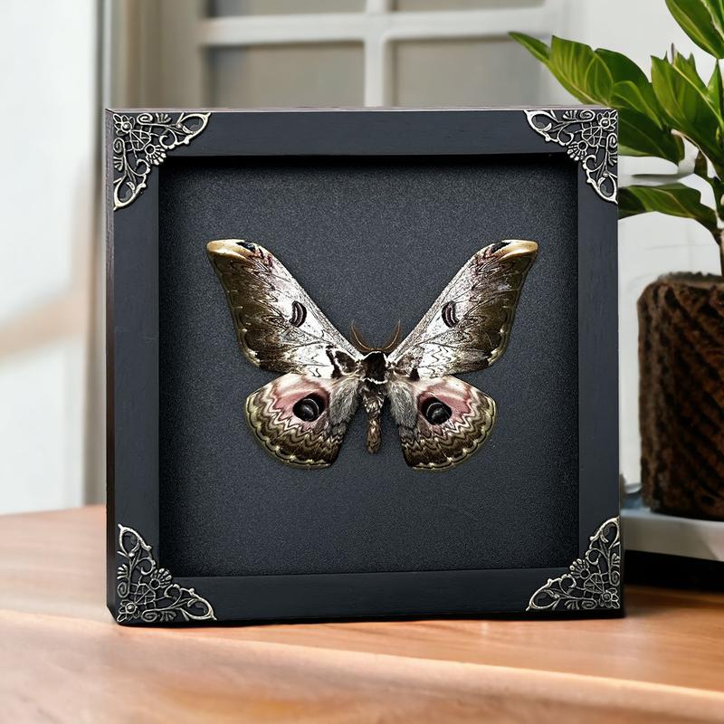 Butterfly Hanging Decoration Gift - Handmade Shadow Box Artwork for Home Decor Living Gallery - Wood, Room