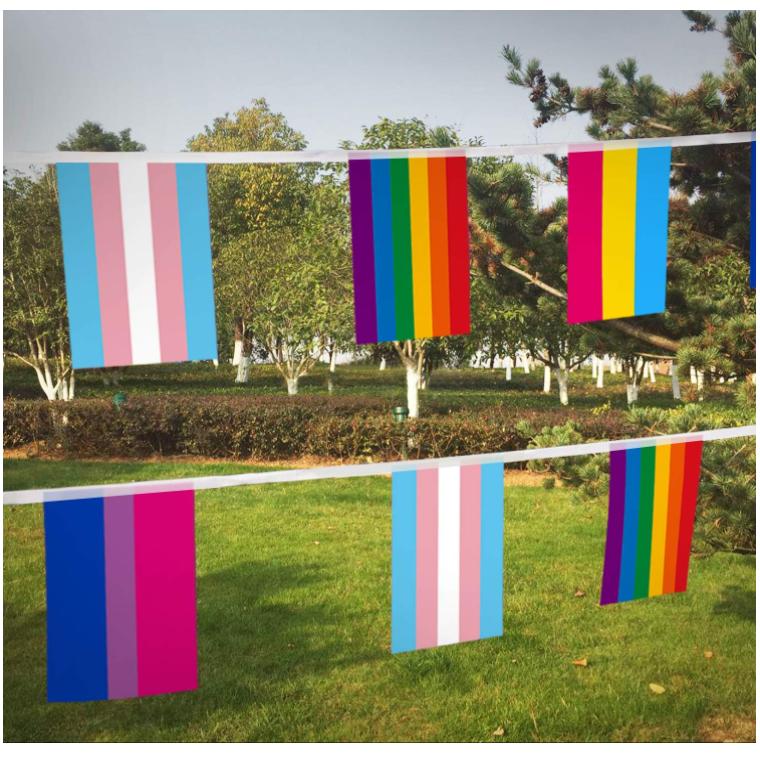 32pcs Assorted Rainbow String Flags - 4 Mixed Pennant Banners with LGBT, Pansexuality, Bisexuality, and Transgender - 32 Flags 26 Feet Christmas Decor Decoration Geometric