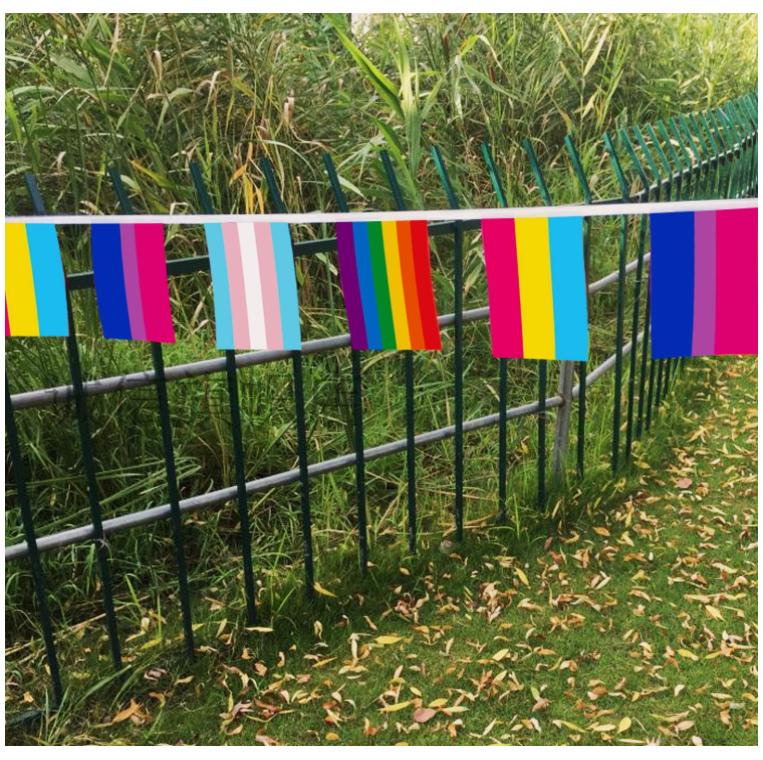 32pcs Assorted Rainbow String Flags - 4 Mixed Pennant Banners with LGBT, Pansexuality, Bisexuality, and Transgender - 32 Flags 26 Feet Christmas Decor Decoration Geometric