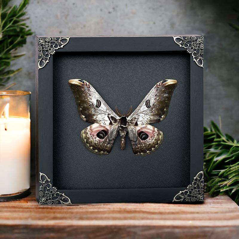 Butterfly Hanging Decoration Gift - Handmade Shadow Box Artwork for Home Decor Living Gallery - Wood, Room