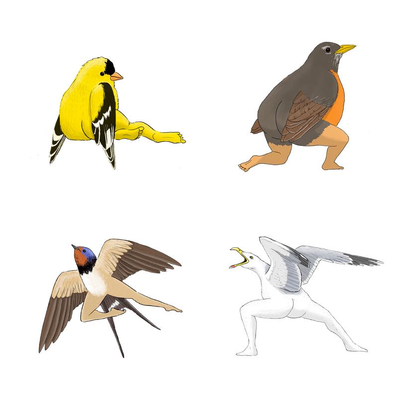 Precise Bird Stickers for Expert Birders (4-Pack) - 2024 Second Edition funny sticker office decor