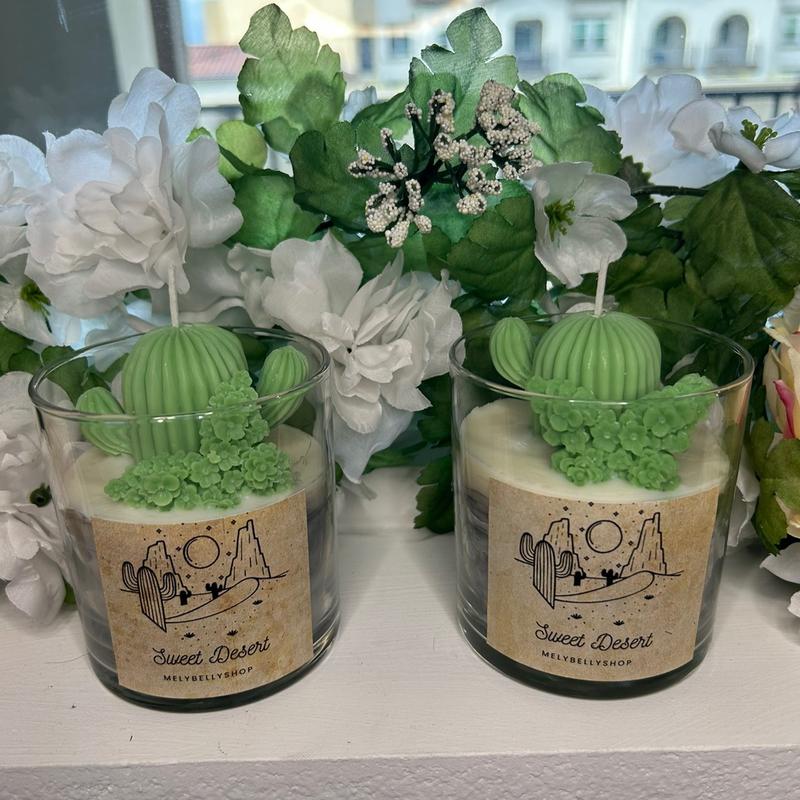 Cactus Soy Wax Candle Succulent Candle xmas gift