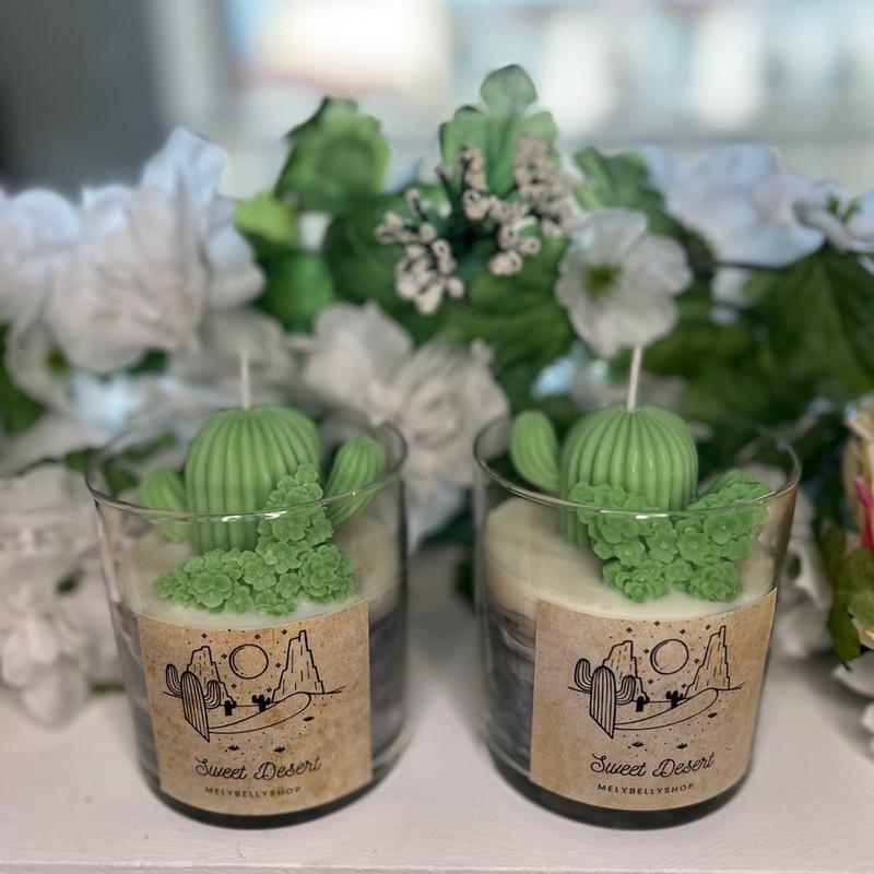 Cactus Soy Wax Candle Succulent Candle xmas gift