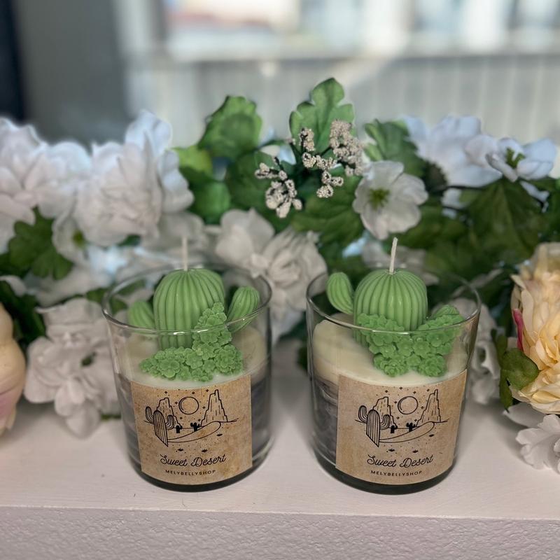 Cactus Soy Wax Candle Succulent Candle xmas gift