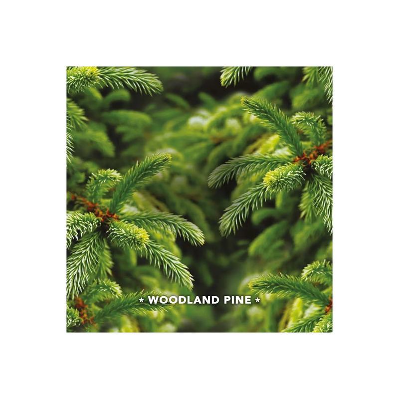 Air Wick Woodland Pine Scented Oil Refill, Pack of 2, Air Freshener