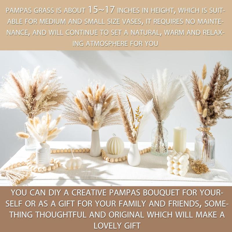 70PCS Natural Dried Pampas Grass Boho Home Decor Bouquet Phragmites Dried Flowers Bouquet for Wedding Floral Arrangements Home Decorations (70PCS) Decorative Fruit