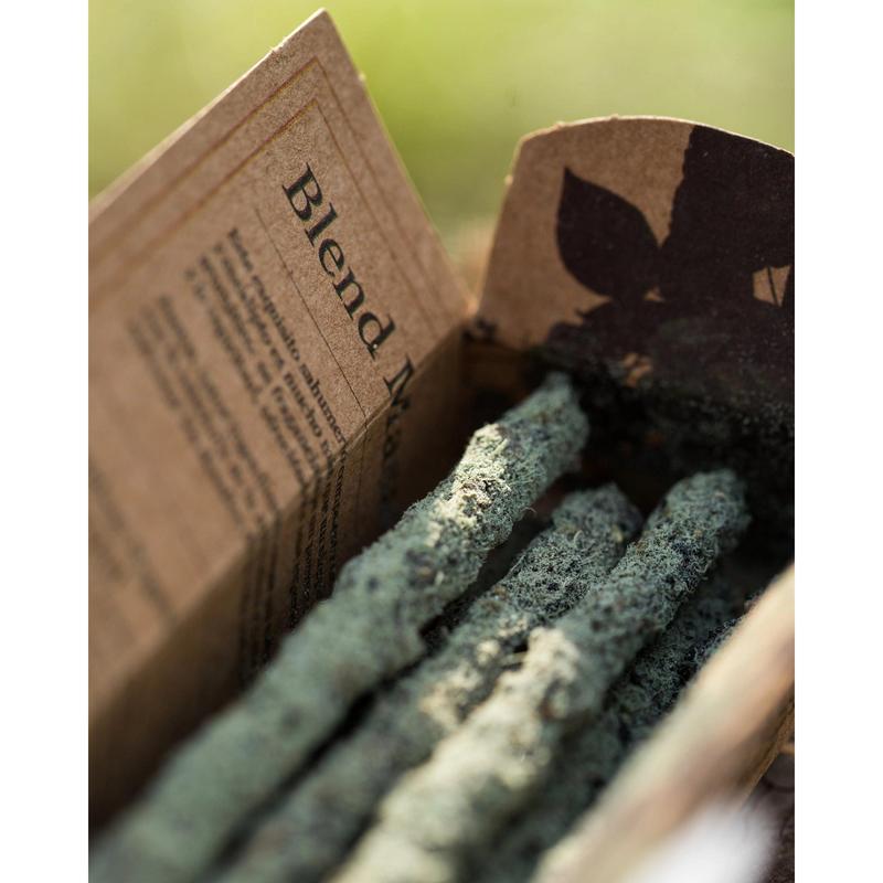 Green Sparkle Gaia Incense Sticks Fragrance Gift Eucalyptus Mother Nature Aroma Fragrance Gift