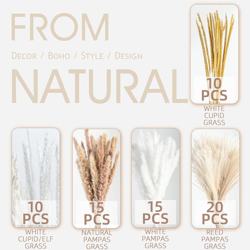 70PCS Natural Dried Pampas Grass Boho Home Decor Bouquet Phragmites Dried Flowers Bouquet for Wedding Floral Arrangements Home Decorations (70PCS)