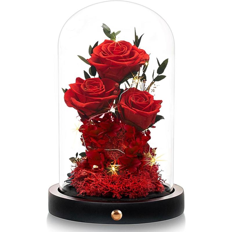 Christmas Flowers Roses Gifts for Women,Forever Preserved Roses in Glass Dome, Anniversary Thanksging Birthday Real Roses Gifts for Her Wife Mom Girlfrien Grandma Red