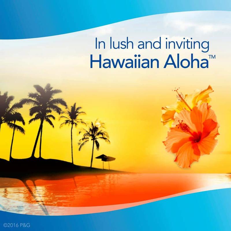 Air 8.8 oz. Hawaiian Aloha Air Freshener Spray (2 Counts)