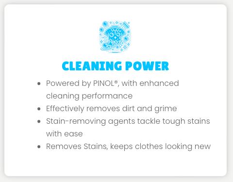 Pinol Clean & Fresh Powder Laundry Detergent - 4 loads