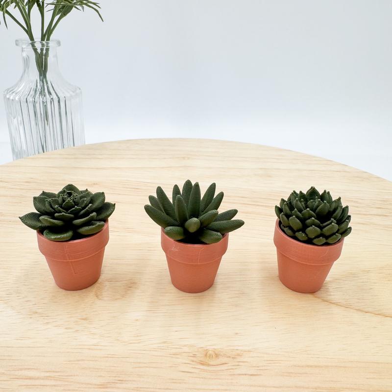 Pocket Plants - 3D Printed Mini Plant Decor Collectible