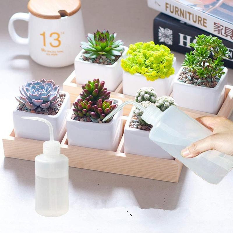 Wash Bottle 2pcs 250ml 8oz Safety Bottles Watering Tools, Economy Plastic Squeeze with Narrow Mouth Scale Labels for Succulent Cleaning Washing