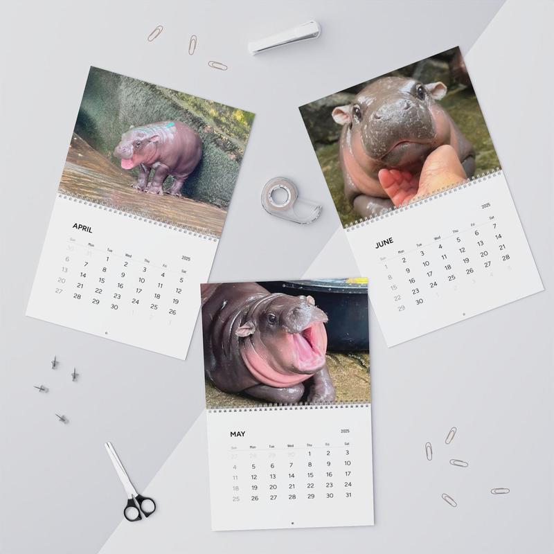 Elizabeth Canto Moo Deng 2025 Calendar Moo Deng Christmas Gift Moo Deng Gift Moo Deng Hippo Moo Deng New Year Gift Moo Deng Merch Moo Deng Gifts 0811264