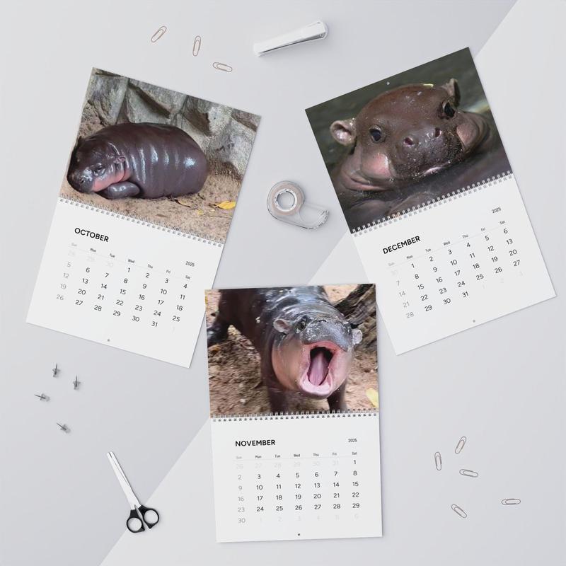 Elizabeth Canto Moo Deng 2025 Calendar Moo Deng Christmas Gift Moo Deng Gift Moo Deng Hippo Moo Deng New Year Gift Moo Deng Merch Moo Deng Gifts 0811264