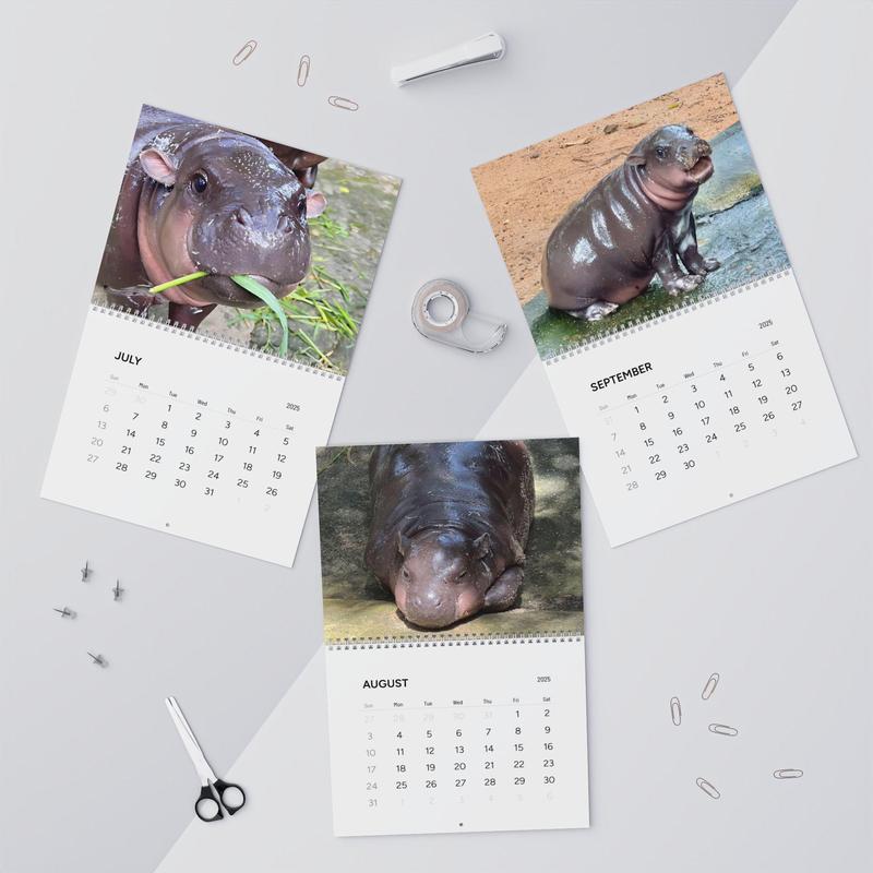 Elizabeth Canto Moo Deng 2025 Calendar Moo Deng Christmas Gift Moo Deng Gift Moo Deng Hippo Moo Deng New Year Gift Moo Deng Merch Moo Deng Gifts 0811264