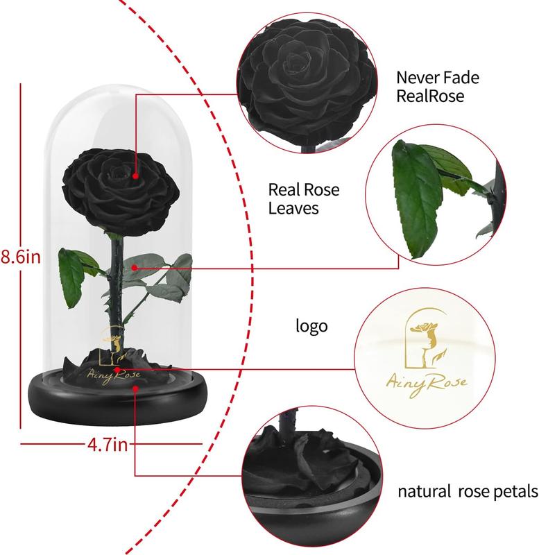 Forever Preserved Real Black Rose Flower Birthday Gifts for Mom Women,Valentines Gifts Black Eternal Flower in Glass Gifts for Valentine's Day Mothers Day Christmas Anniversary Birthday (Black)