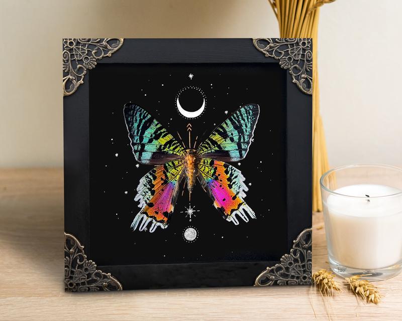 Framed Butterfly Entomology Display Wall Hanging Decor - Box, Gift Decoration for Insect lover art home Poster Room Artistic