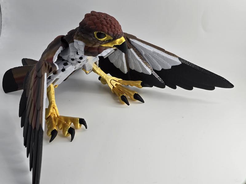 3d Printed articulating Peregrine Falcon