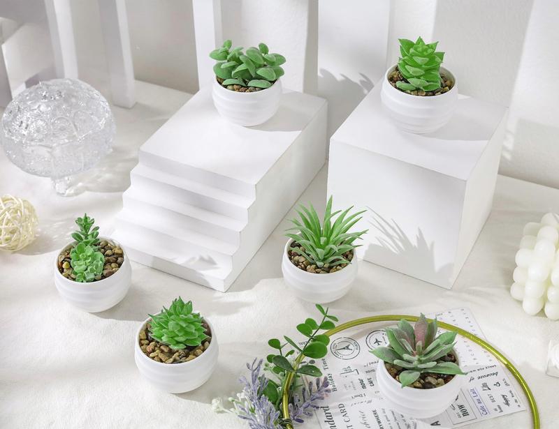 Set of 6 Succulents Plants Artificial in Pots Small Fake Plants for Bedroom Aesthetic Living Room Office Shelf Bathroom Decor Decorative Fruit