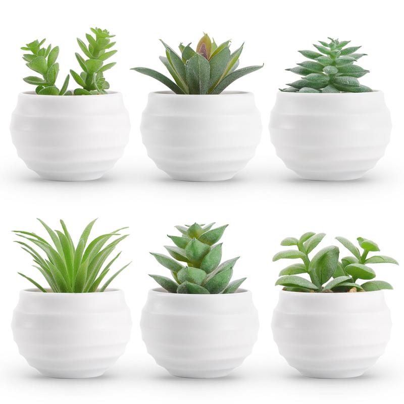 Set of 6 Succulents Plants Artificial in Pots Small Fake Plants for Bedroom Aesthetic Living Room Office Shelf Bathroom Decor Decorative Fruit