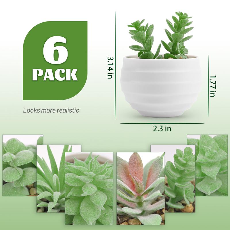 Set of 6 Succulents Plants Artificial in Pots Small Fake Plants for Bedroom Aesthetic Living Room Office Shelf Bathroom Decor Decorative Fruit