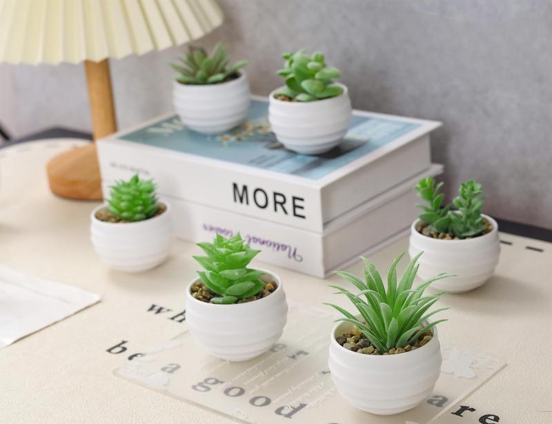 Set of 6 Succulents Plants Artificial in Pots Small Fake Plants for Bedroom Aesthetic Living Room Office Shelf Bathroom Decor Decorative Fruit