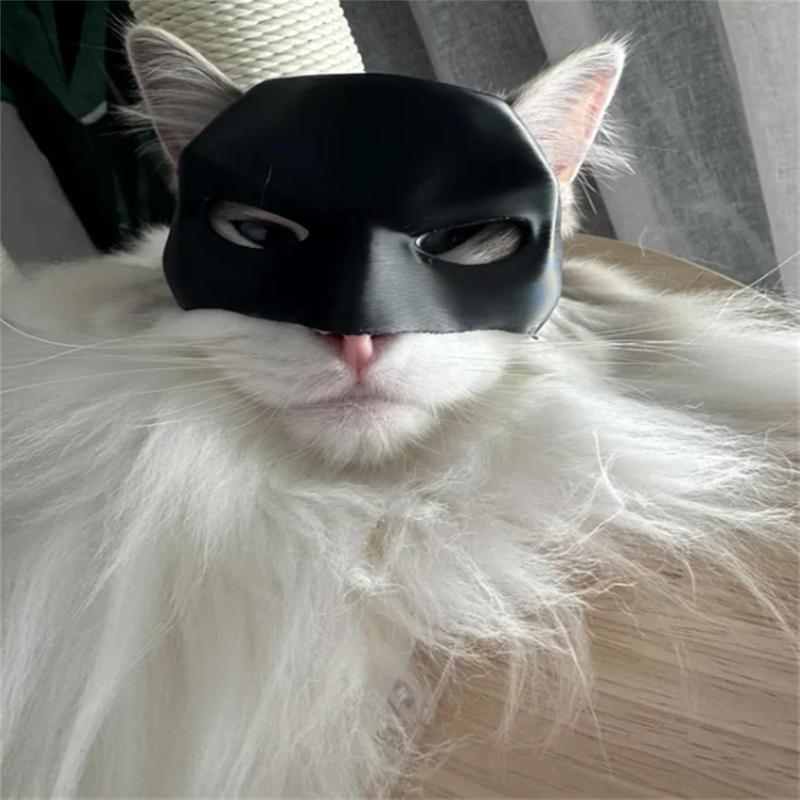 Batman 3D Printed Cat Mask , Cat Cosplay Mask On Halloween Accessories Accessory Adventure Pet Plastic Kitty