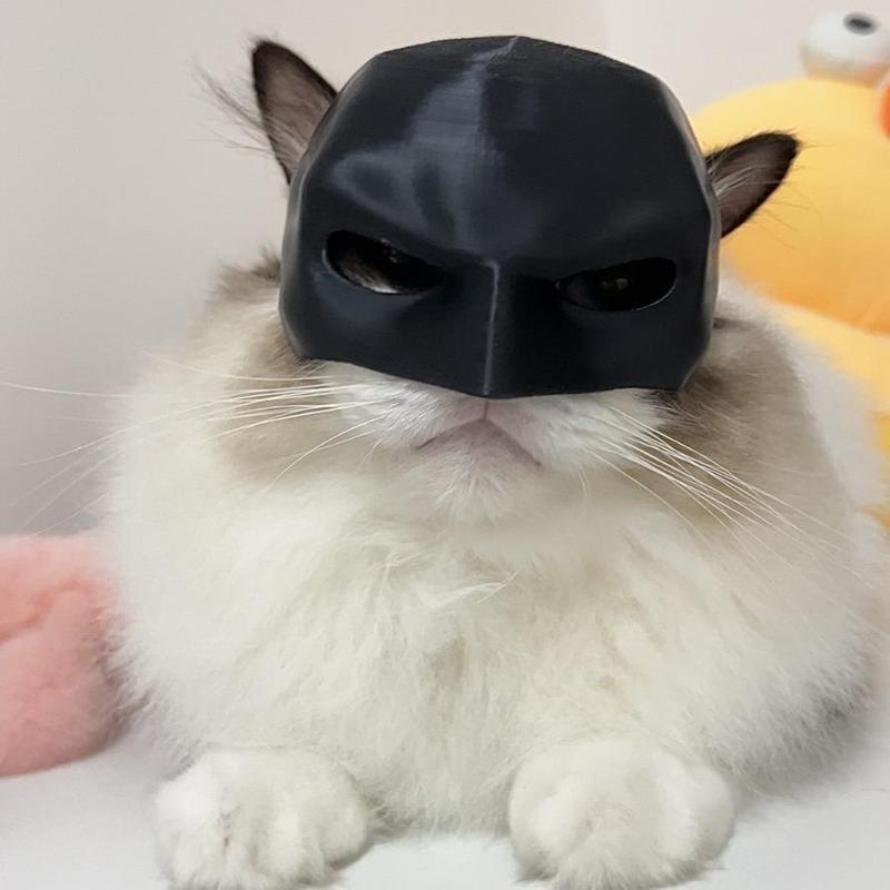 Batman 3D Printed Cat Mask , Cat Cosplay Mask On Halloween Accessories Accessory Adventure Pet Plastic Kitty