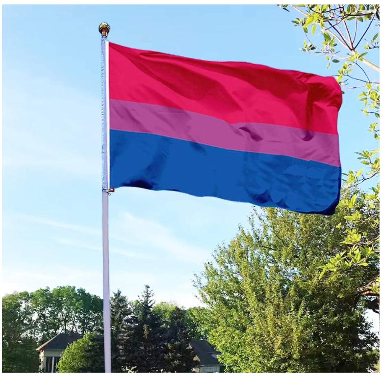 3x5 Foot Bisexual Pride Flag - LGBT Bi Gay Flags with Brass Grommets & Canvas Header & Double Stitched & Vivid Bright Colors Banner Lightweight Christmas