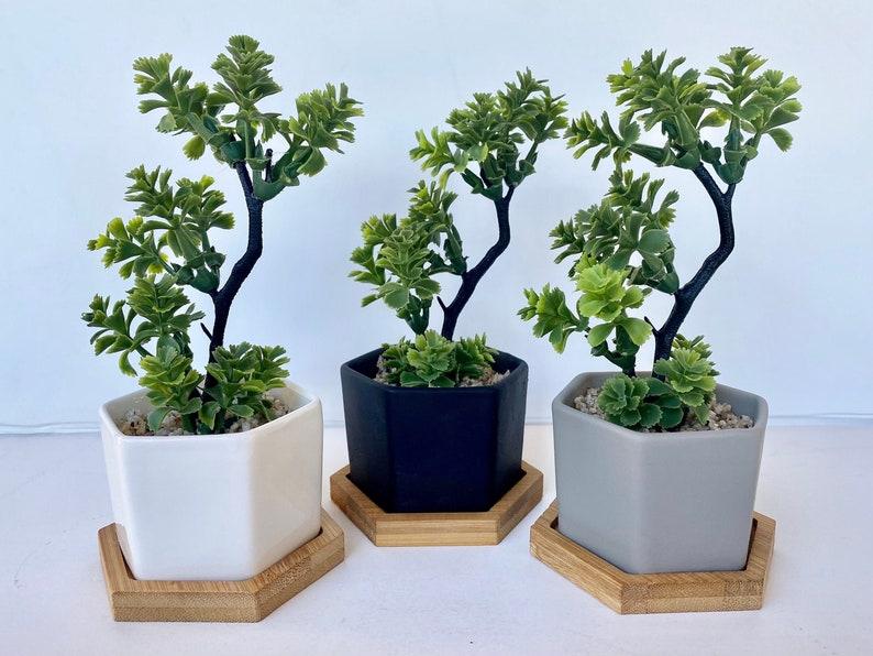 Small Artificial Bonsai Plant in white, black or grey Hexagon Pot with Bamboo Tray, Floating Shelve Decor, Kitchen Counter Deco, RV Deco