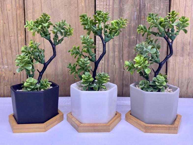 Small Artificial Bonsai Plant in white, black or grey Hexagon Pot with Bamboo Tray, Floating Shelve Decor, Kitchen Counter Deco, RV Deco