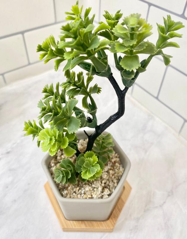 Small Artificial Bonsai Plant in white, black or grey Hexagon Pot with Bamboo Tray, Floating Shelve Decor, Kitchen Counter Deco, RV Deco