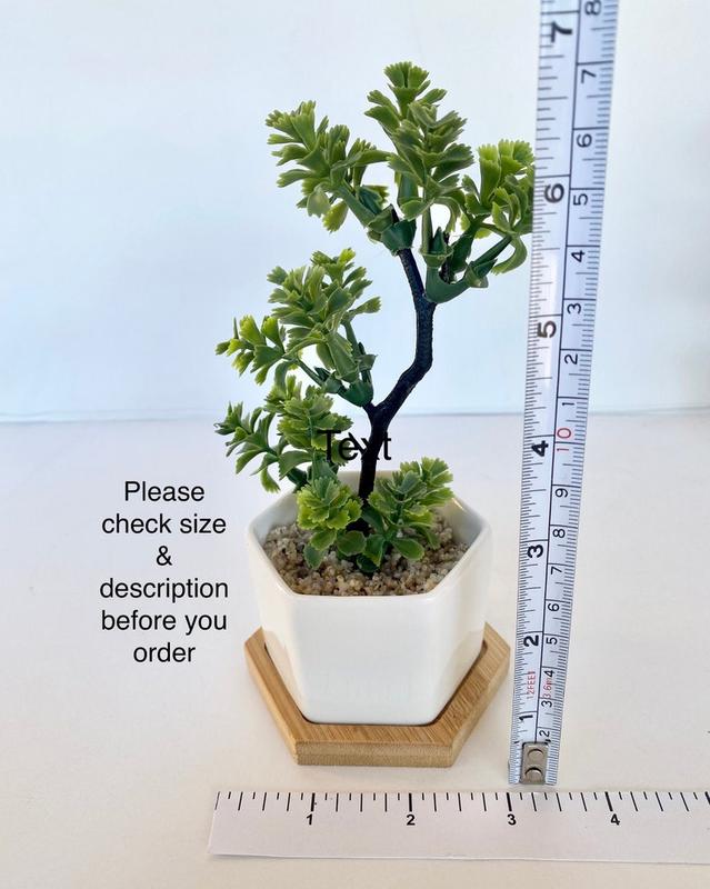 Small Artificial Bonsai Plant in white, black or grey Hexagon Pot with Bamboo Tray, Floating Shelve Decor, Kitchen Counter Deco, RV Deco