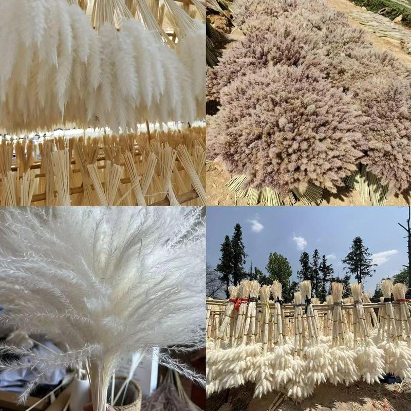 Artificial Pampas Grass Bouquet, 80pcs set Boho Style Dried Pampas Grass, Home Decor Supplies for Living Room, Bedroom, Bathroom, Wedding, Festivities, Baby Shower, Holiday