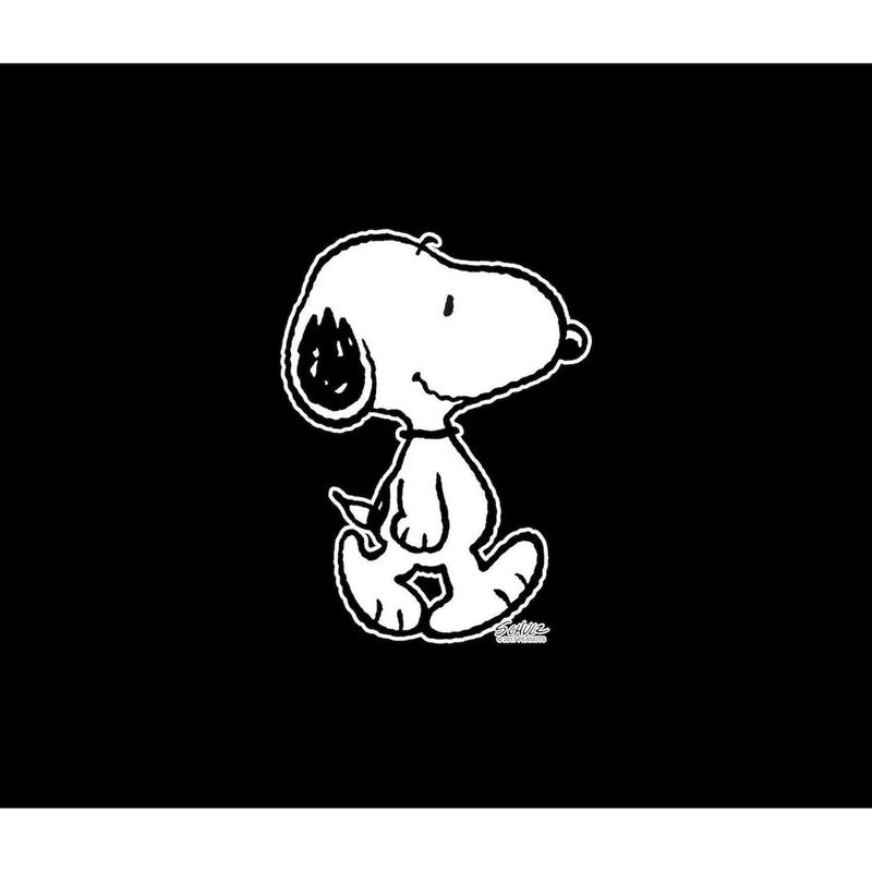 CafePress Peanuts Snoopy Wall Tapestry 30*40