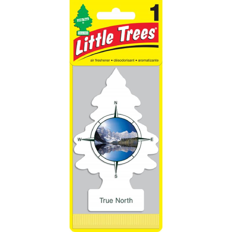 Little Trees Air Fresheners, True North Pack of 30