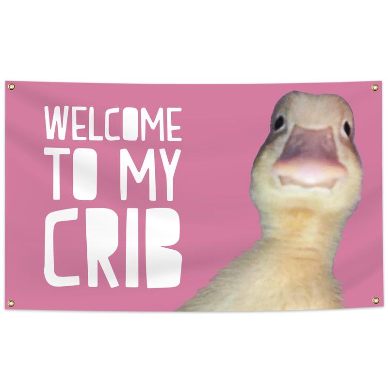 Welcome to My Crib Funny Flag 3x5Ft Wall Flag with 4 Brass Grommets for Bedroom Bar Man Cave College Dorm Room Decor, Banners, Ornaments