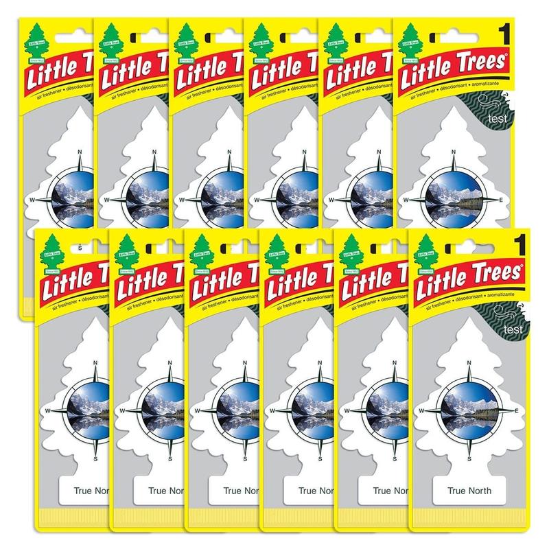 Little Trees Air Fresheners, True North Pack of 30